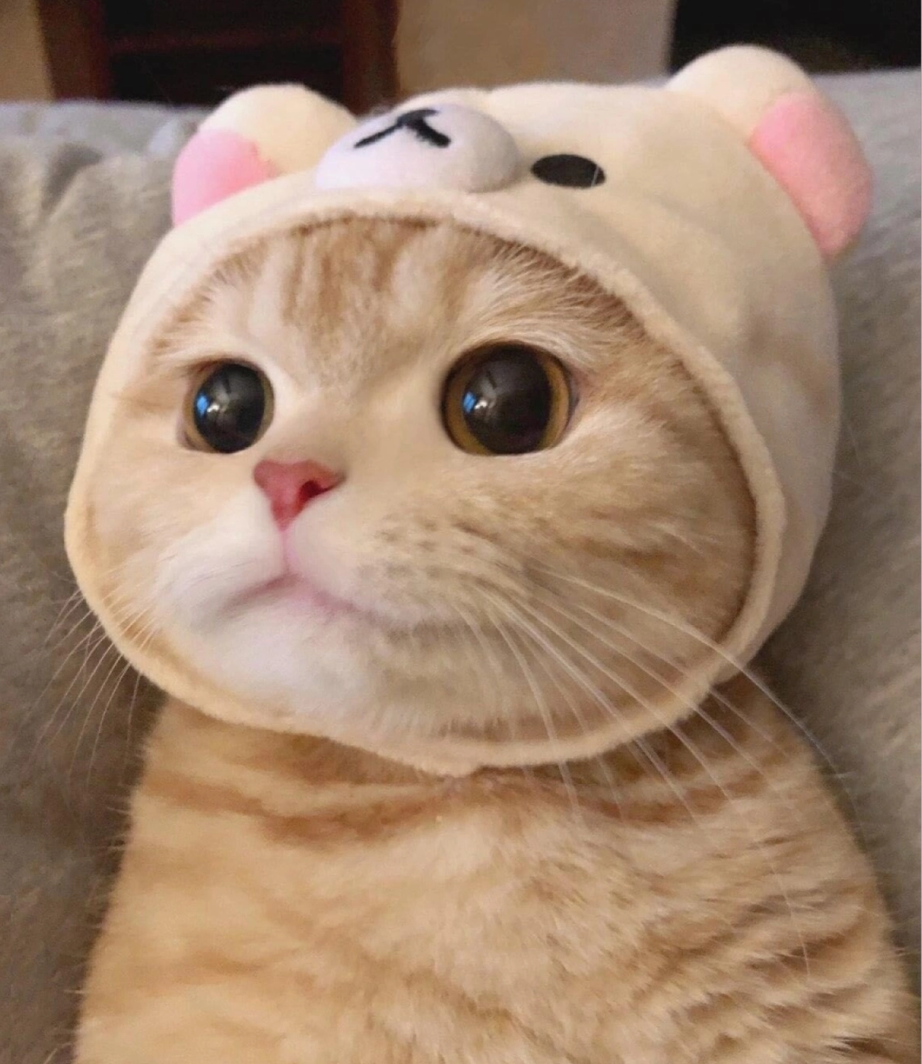 Chị Thảo Vân Anh